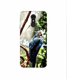 Amazon Brand - Solimo Designer Macaw Parrot 3D Printed Hard Back Case Mobile Cover for LG Q7