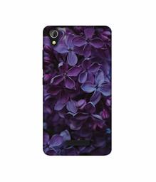 Amazon Brand - Solimo Designer Purple Flowers UV Printed Soft Back Case Mobile Cover for Gionee Pioneer P5W