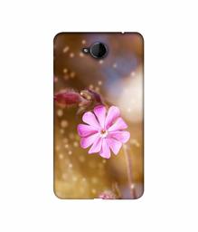 Amazon Brand - Solimo Designer Pink Flower 3D Printed Hard Back Case Mobile Cover for Microsoft Lumia 650