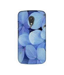 Amazon Brand - Solimo Designer Light Blue Flower Photography 3D Printed Hard Back Case Mobile Cover for Motorola Moto G 2nd Generation