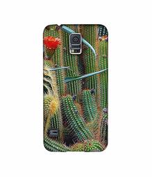 Amazon Brand - Solimo Designer Cactus 3D Printed Hard Back Case Mobile Cover for Samsung Galaxy S5 i9600