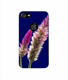 Amazon Brand - Solimo Designer Wheat Flower 3D Printed Hard Back Case Mobile Cover for Apple iPhone 7 (with Logo Cut)