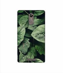 Amazon Brand - Solimo Designer Leafs 3D Printed Hard Back Case Mobile Cover for Gionee S6s