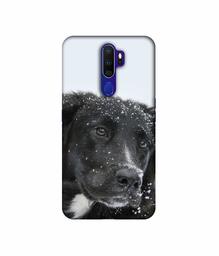 Amazon Brand - Solimo Designer Labrador Dog 3D Printed Hard Back Case Mobile Cover for Oppo A9 (2020)