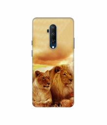 Amazon Brand - Solimo Designer Lion with Lioness 3D Printed Hard Back Case Mobile Cover for OnePlus 7T Pro