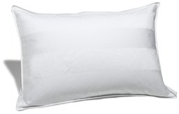 Pinzon Chamonix Firm Density White Goose Down Queen Pillow