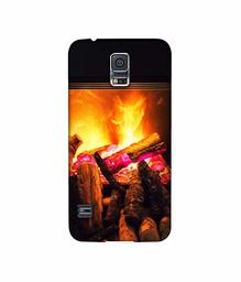 Amazon Brand - Solimo Designer Born Fire 3D Printed Hard Back Case Mobile Cover for Samsung Galaxy S5 i9600