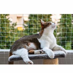 UMI Pet Protective Safety Net cat Anti-escape Net Fence Balcony Net, XLarge