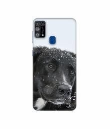 Amazon Brand - Solimo Designer Labrador Dog 3D Printed Hard Back Case Mobile Cover for Samsung Galaxy M31