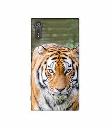 Amazon Brand - Solimo Designer Tiger in Water 3D Printed Hard Back Case Mobile Cover for Sony Xperia XZ Dual