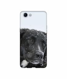 Amazon Brand - Solimo Designer Labrador Dog 3D Printed Hard Back Case Mobile Cover for Realme 1