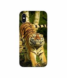 Amazon Brand - Solimo Designer Tiger 3D Printed Hard Back Case Mobile Cover for Apple iPhone Xs Max