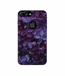 Amazon Brand - Solimo Designer Purple Flowers 3D Printed Hard Back Case Mobile Cover for Apple iPhone 7 Plus (Logo Cut)