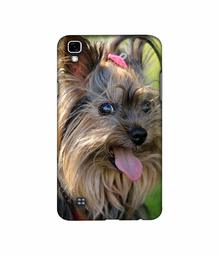 Amazon Brand - Solimo Designer Hairy Puppy 3D Printed Hard Back Case Mobile Cover for LG X Power