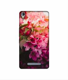 Amazon Brand - Solimo Designer Blossom Weather 3D Printed Hard Back Case Mobile Cover for Micromax Canvas Juice 3Plus Q394