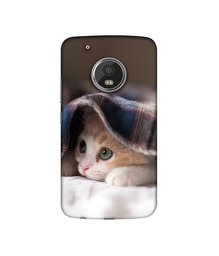 Amazon Brand - Solimo Designer Sleepy Kitten UV Printed Soft Back Case Mobile Cover for Motorola Moto G5 Plus