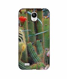 Amazon Brand - Solimo Designer Cactus 3D Printed Hard Back Case Mobile Cover for Vivo Y21L