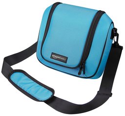 AmazonBasics Sacoche de voyage pour Nintendo 2DS XL, Turquoise