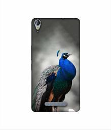 Amazon Brand - Solimo Designer Peacock 3D Printed Hard Back Case Mobile Cover for Micromax Canvas Juice 3Plus Q394