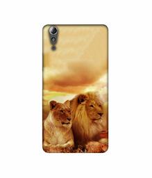 Amazon Brand - Solimo Designer Lion with Lioness 3D Printed Hard Back Case Mobile Cover for Lenovo A6000 / A6000 Plus