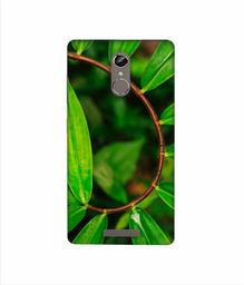 Amazon Brand - Solimo Designer Leaf Photography 3D Printed Hard Back Case Mobile Cover for Gionee S6s