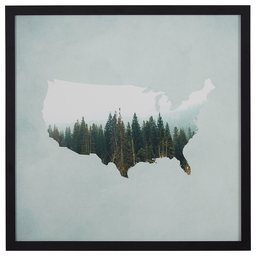 Amazon Brand – Rivet American Forest Map Wall Art Print in Black Wood Frame, 30