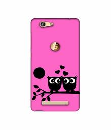 Amazon Brand - Solimo Designer Love Birds Vector 3D Printed Hard Back Case Mobile Cover for Gionee F103 Pro