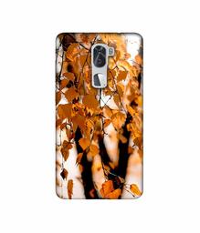 Amazon Brand - Solimo Designer Autumn Photography 3D Printed Hard Back Case Mobile Cover for Coolpad Cool1 Dual