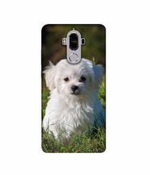 Amazon Brand - Solimo Designer White Dog 3D Printed Hard Back Case Mobile Cover for Huawei Mate 9