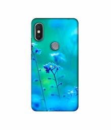 Amazon Brand - Solimo Designer Blue Flower 3D Printed Hard Back Case Mobile Cover for Xiaomi Redmi Y2