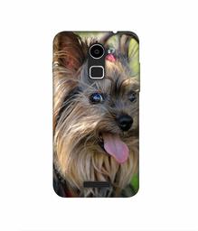 Amazon Brand - Solimo Designer Hairy Puppy 3D Printed Hard Back Case Mobile Cover for Coolpad Note 3 Lite