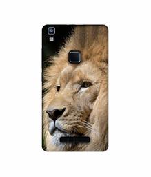 Amazon Brand - Solimo Designer Lion UV Printed Soft Back Case Mobile Cover for Lava Z80