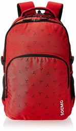 Amazon Brand - Solimo Vogue School Backpack (40 litres, Red)