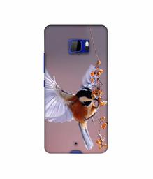 Amazon Brand - Solimo Designer Bird 3D Printed Hard Back Case Mobile Cover for HTC U Ultra