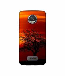 Amazon Brand - Solimo Designer Nature View 3D Printed Hard Back Case Mobile Cover for Moto Z2 Play