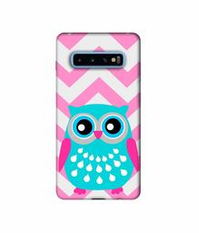 Amazon Brand - Solimo Designer Sky Blue Owl 3D Printed Hard Back Case Mobile Cover for Samsung Galaxy S10 Plus