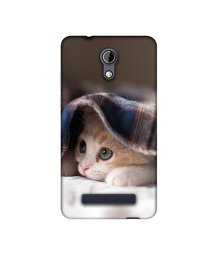 Amazon Brand - Solimo Designer Sleepy Kitten UV Printed Soft Back Case Mobile Cover for Micromax Bharat 2 Q402