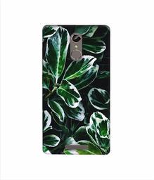 Amazon Brand - Solimo Designer Leaf Imperation 3D Printed Hard Back Case Mobile Cover for Gionee S6s