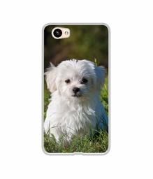 Amazon Brand - Solimo Designer White Dog UV Printed Soft Back Case Mobile Cover for Itel A21