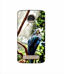 Amazon Brand - Solimo Designer Macaw Parrot 3D Printed Hard Back Case Mobile Cover for Motorola Moto Z Play