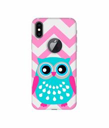 Amazon Brand - Solimo Designer Sky Blue Owl 3D Printed Hard Back Case Mobile Cover for Apple iPhone Xs Max (Logo Cut)