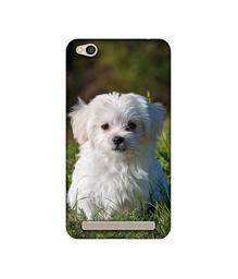 Amazon Brand - Solimo Designer White Dog UV Printed Soft Back Case Mobile Cover for Mi Redmi 5A