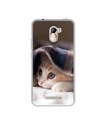 Amazon Brand - Solimo Designer Sleepy Kitten UV Printed Soft Back Case Mobile Cover for Karbonn Aura Power 4G Plus