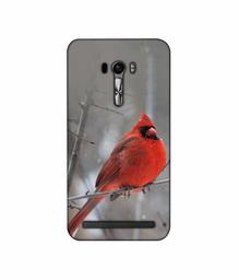 Amazon Brand - Solimo Designer Red Engry Bird 3D Printed Hard Back Case Mobile Cover for Asus Zenfone Selfie ZD551KL