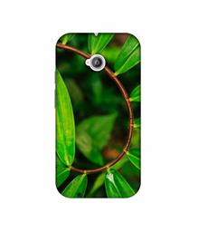 Amazon Brand - Solimo Designer Leaf Photography 3D Printed Hard Back Case Mobile Cover for Motorola Moto E 2nd Generation