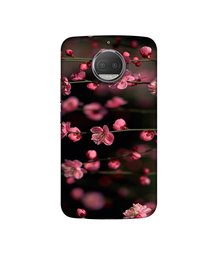 Amazon Brand - Solimo Designer Pink Flowers UV Printed Soft Back Case Mobile Cover for Motorola Moto G5S Plus