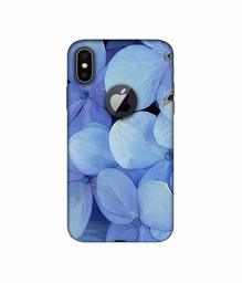 Amazon Brand - Solimo Designer Light Blue Flower Photography 3D Printed Hard Back Case Mobile Cover for Apple iPhone X (Logo Cut)