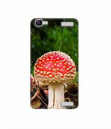 Amazon Brand - Solimo Designer Red Mushroom 3D Printed Hard Back Case Mobile Cover for Vivo V1 Max