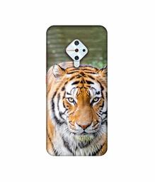 Amazon Brand - Solimo Designer Tiger in Water 3D Printed Hard Back Case Mobile Cover for Vivo S1 Pro