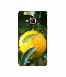 Amazon Brand - Solimo Designer Lemon 3D Printed Hard Back Case Mobile Cover for Samsung Z2